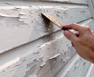 paint scraping