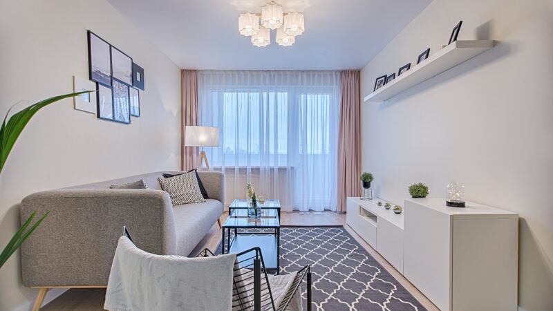 Maximizing Space 101: Efficient Home Designs for Smaller Lots