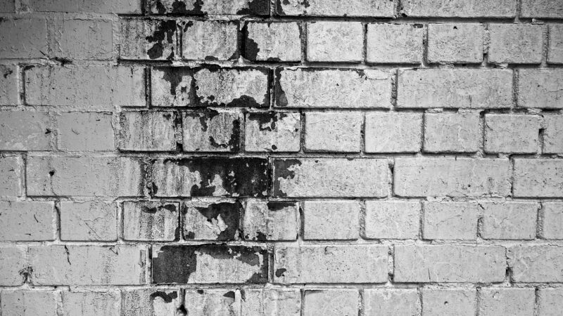 Tips for Preventing Mold and Mildew in Your Underground Space