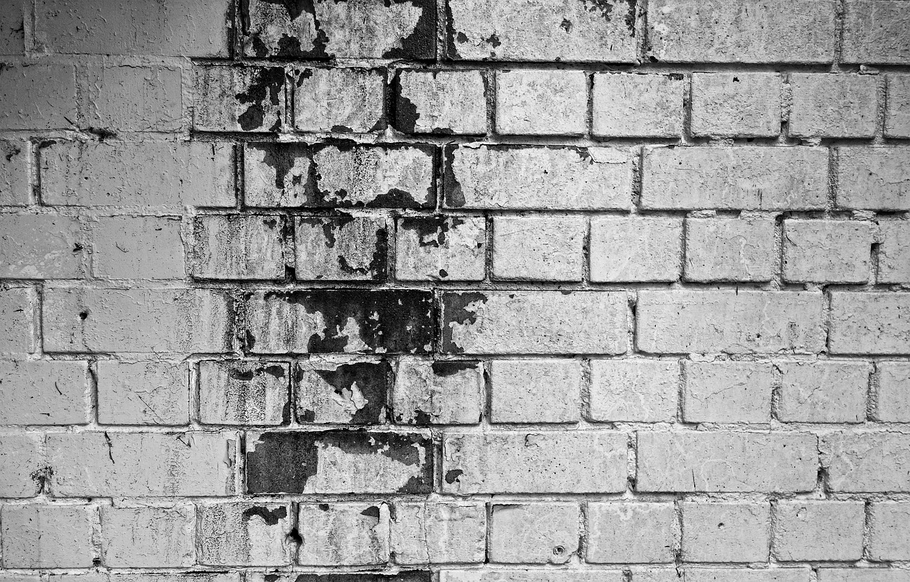 Tips for Preventing Mold and Mildew in Your Underground Space